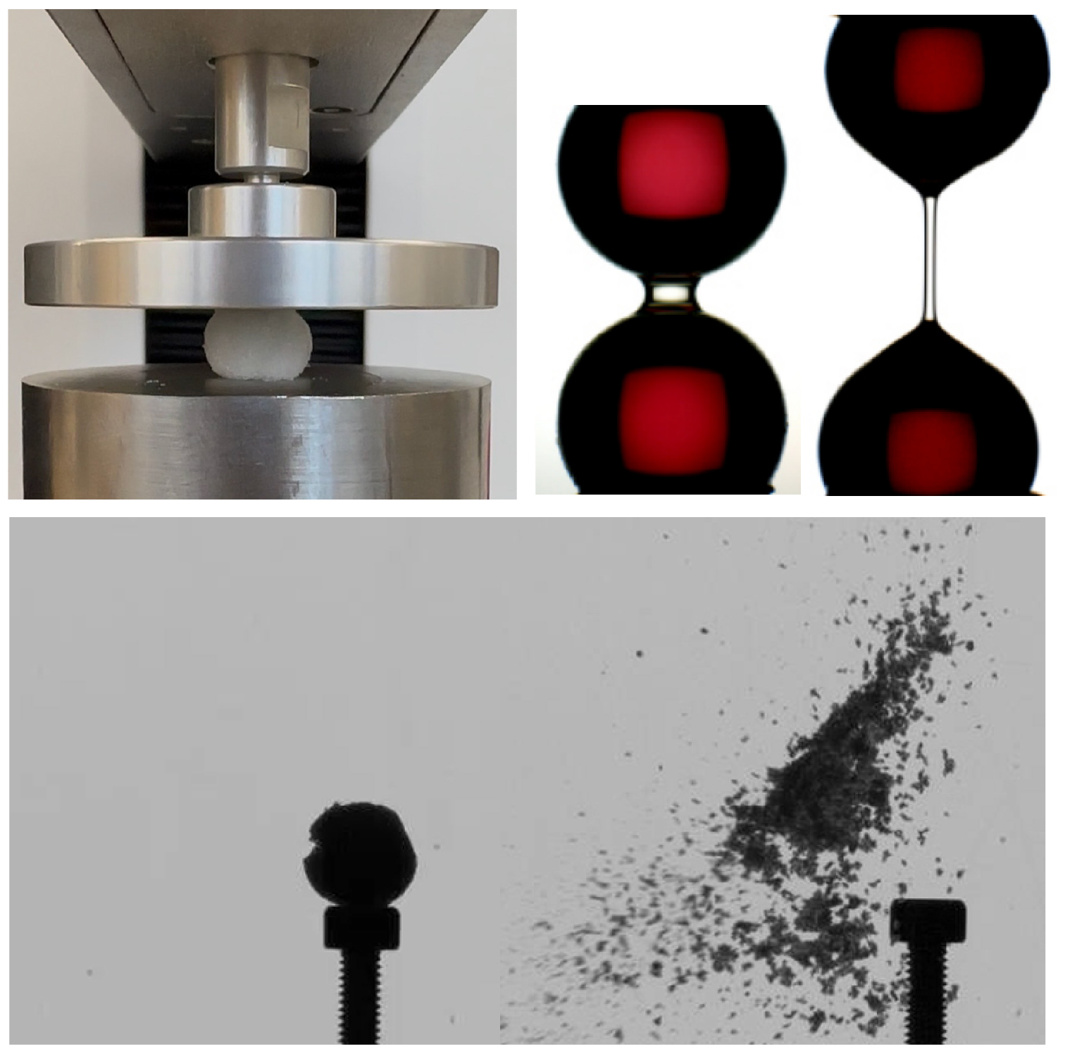 Cohesion and fragmentation